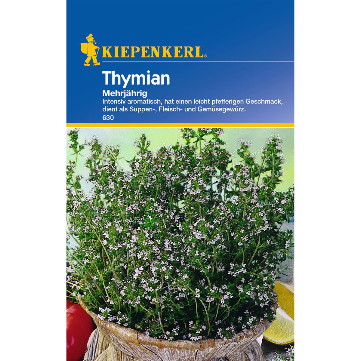 Kiepenkerl Thymian mehrjährig Bild 1