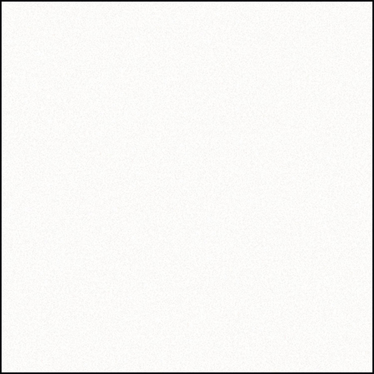 Gardinia Flächenvorhang Stoff Entry 60 x 245 cm weiß