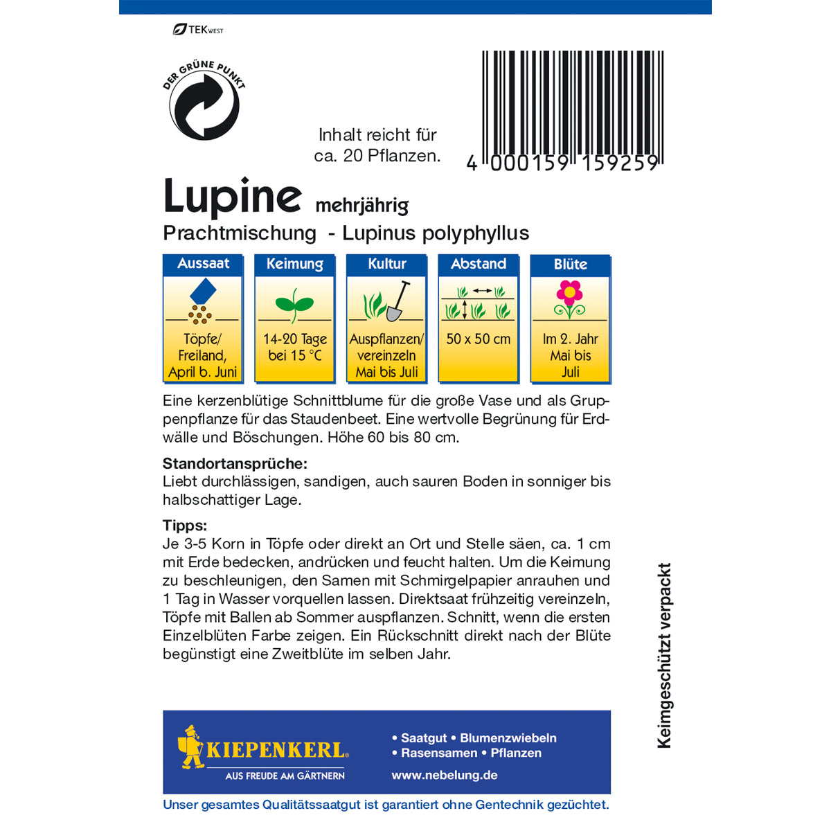 Kiepenkerl Lupinus Polyphyllus Mix Bild 2