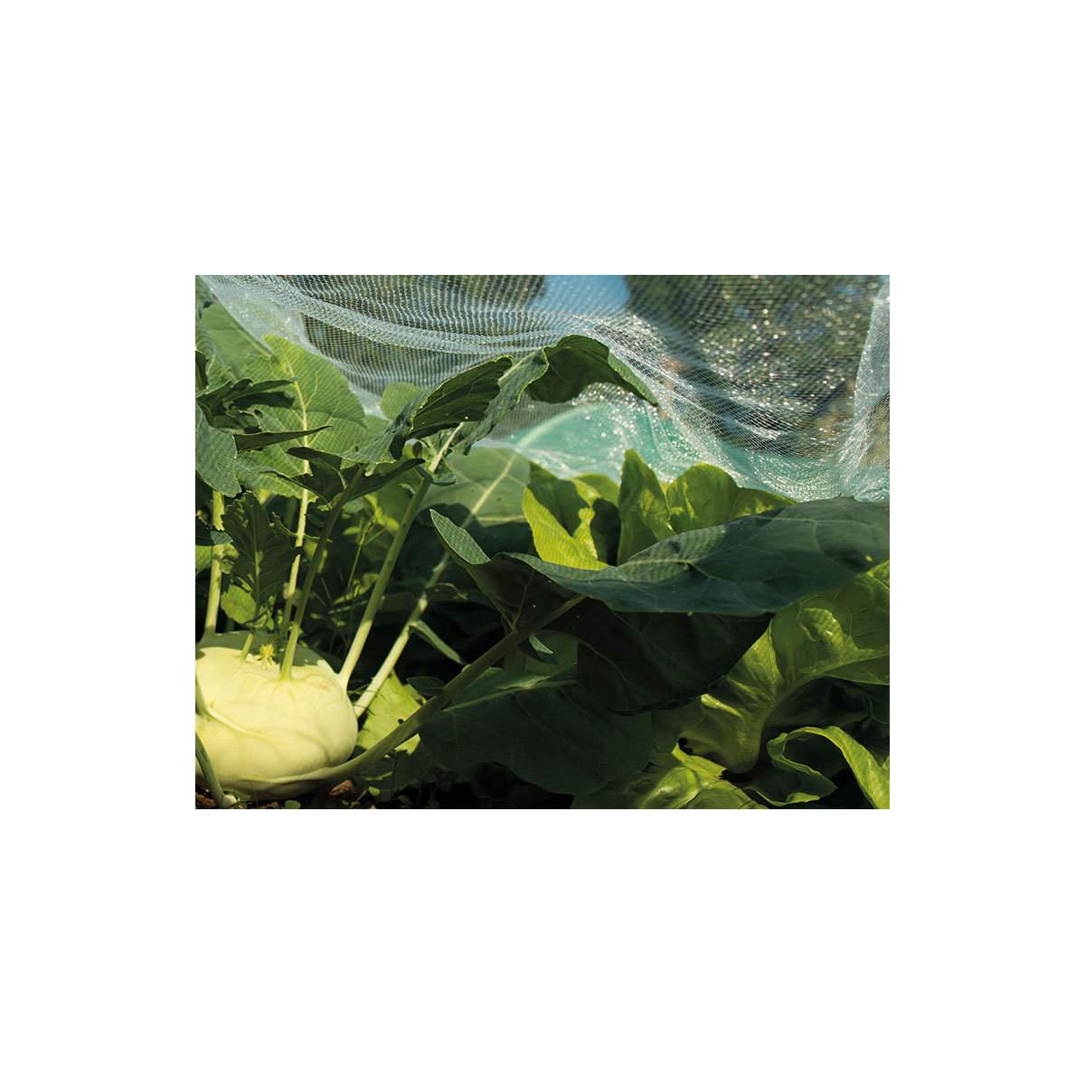 SIENA GARDEN Insektennetz engmaschig Mono Qualität, 500x200cm