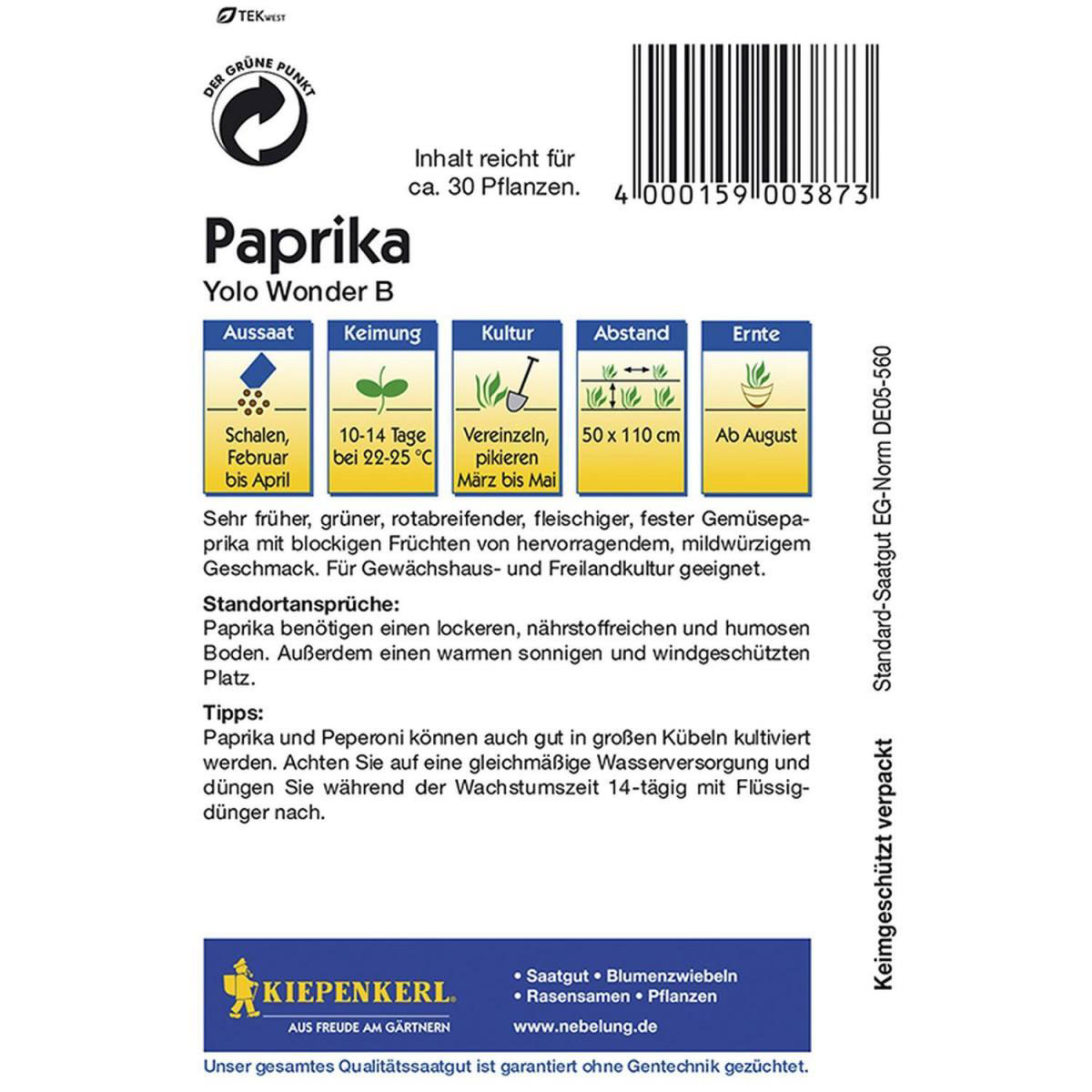 Kiepenkerl Paprika Yolo Wonder B Bild 2