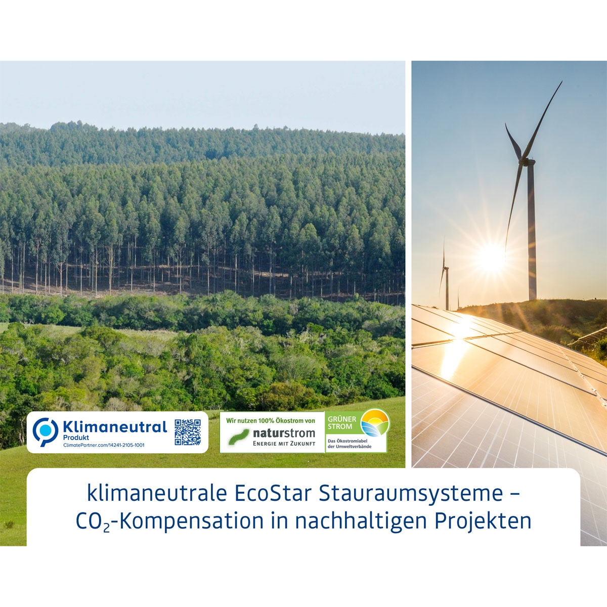 EcoStar  Gerätehaus Trend-PTyp 1RAL6005 1 flg Bild 8