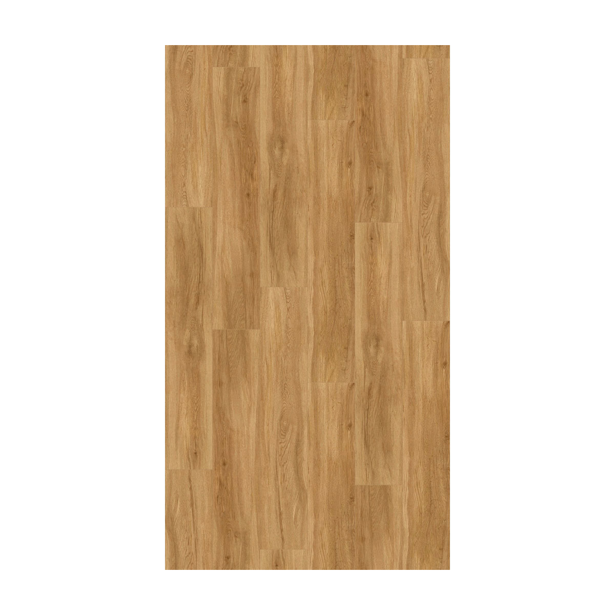 Parador Vinylboden Basic 5.3 Eiche Sierra Natur gebürstete Struktur 22,5 x 120,9 cm Bild 2