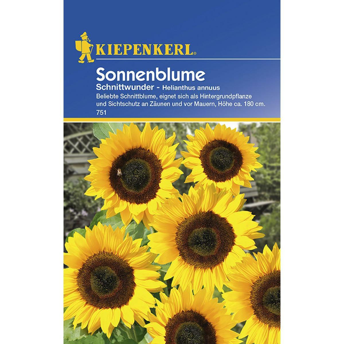 Kiepenkerl Sonnenblume Schnittwunder