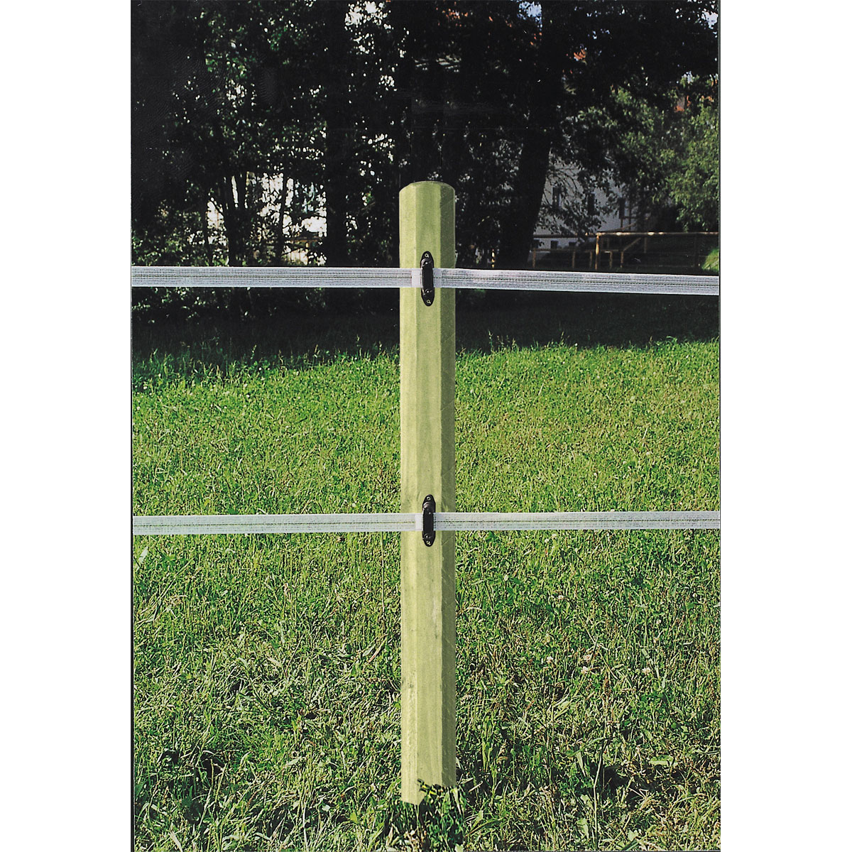 Streckenpfahl Octo Wood 8 x 180 cm braun Bild 4