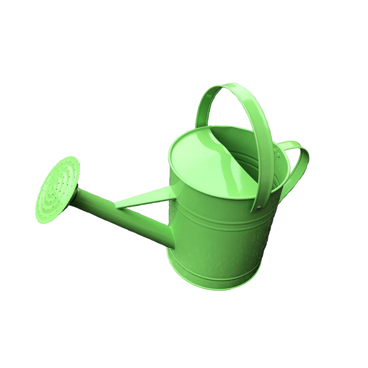 Haveson Geißkanne aus Zink 6 L grün