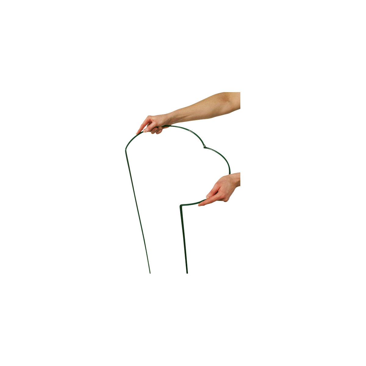 Pflanzenstütze 100 cm Bild 2