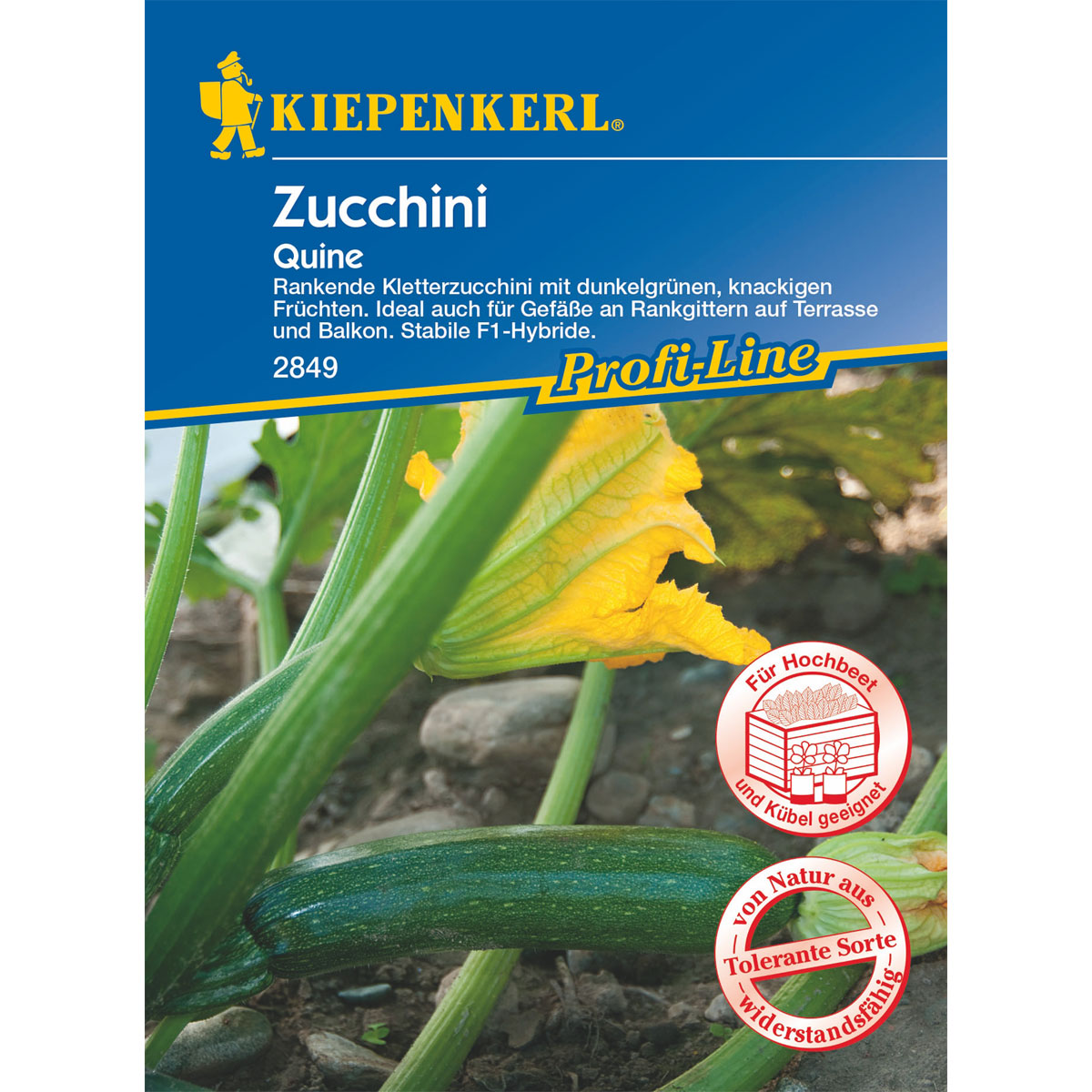 Kiepenkerl Zucchini Quine
