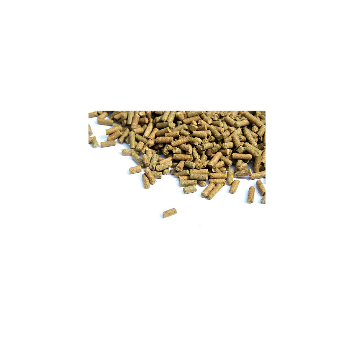 AboutGreen Düngemittel für Sedumdach 5 kg