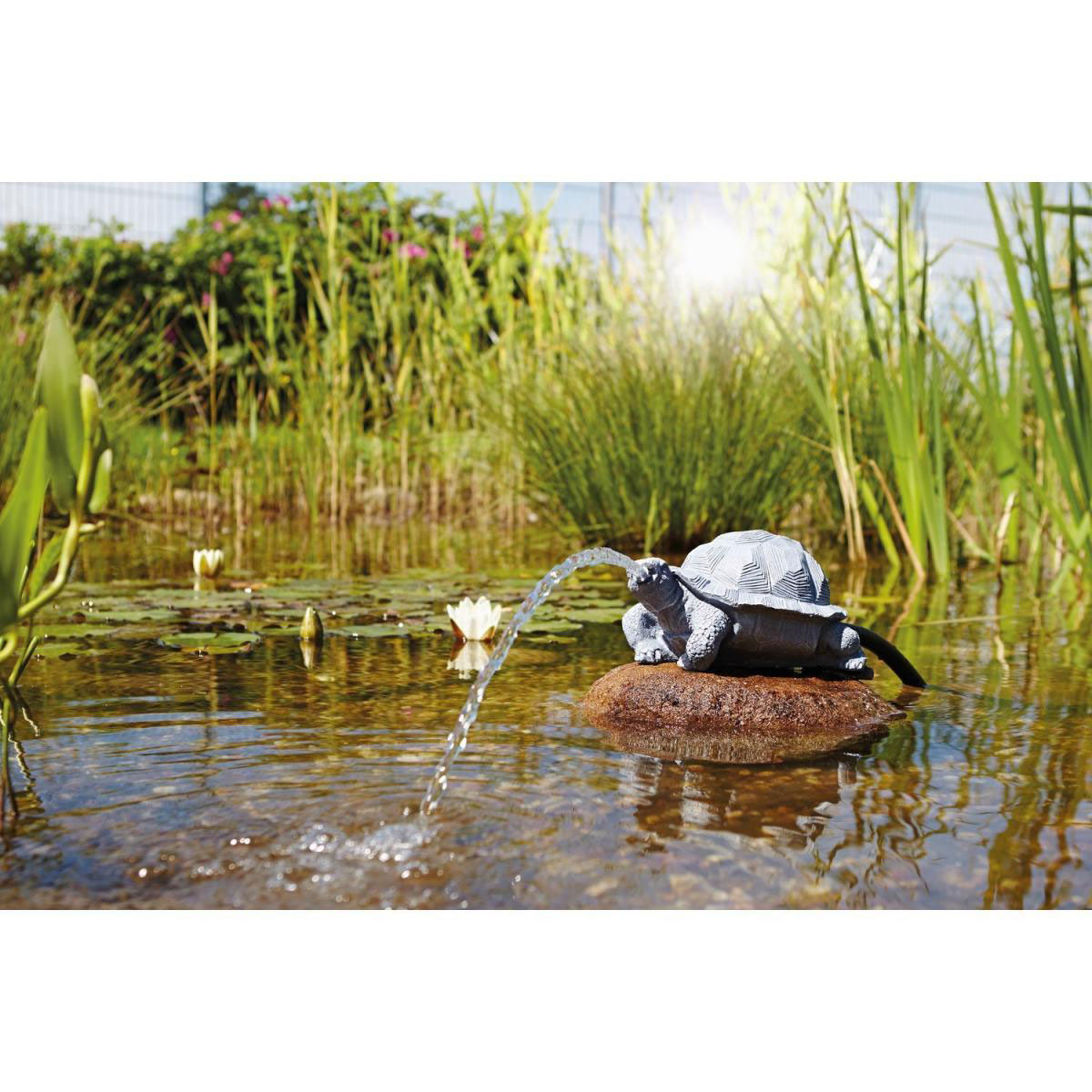 Oase Wasserspeier Schildkröte