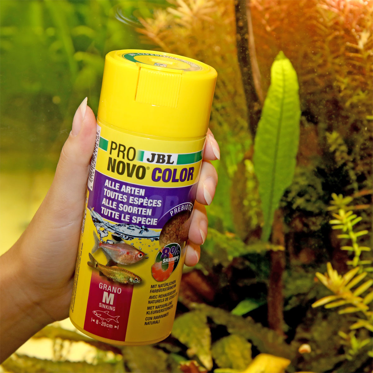 JBL  PRONOVO COLOR GRANO M 250ml CLICK Bild 3