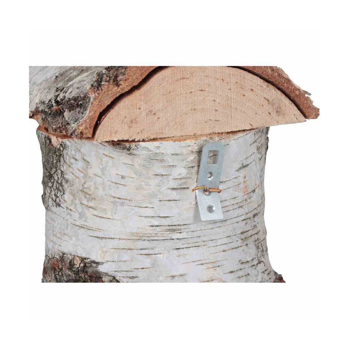 Siena Garden  Nistkasten Birke 32 mm Bild 4