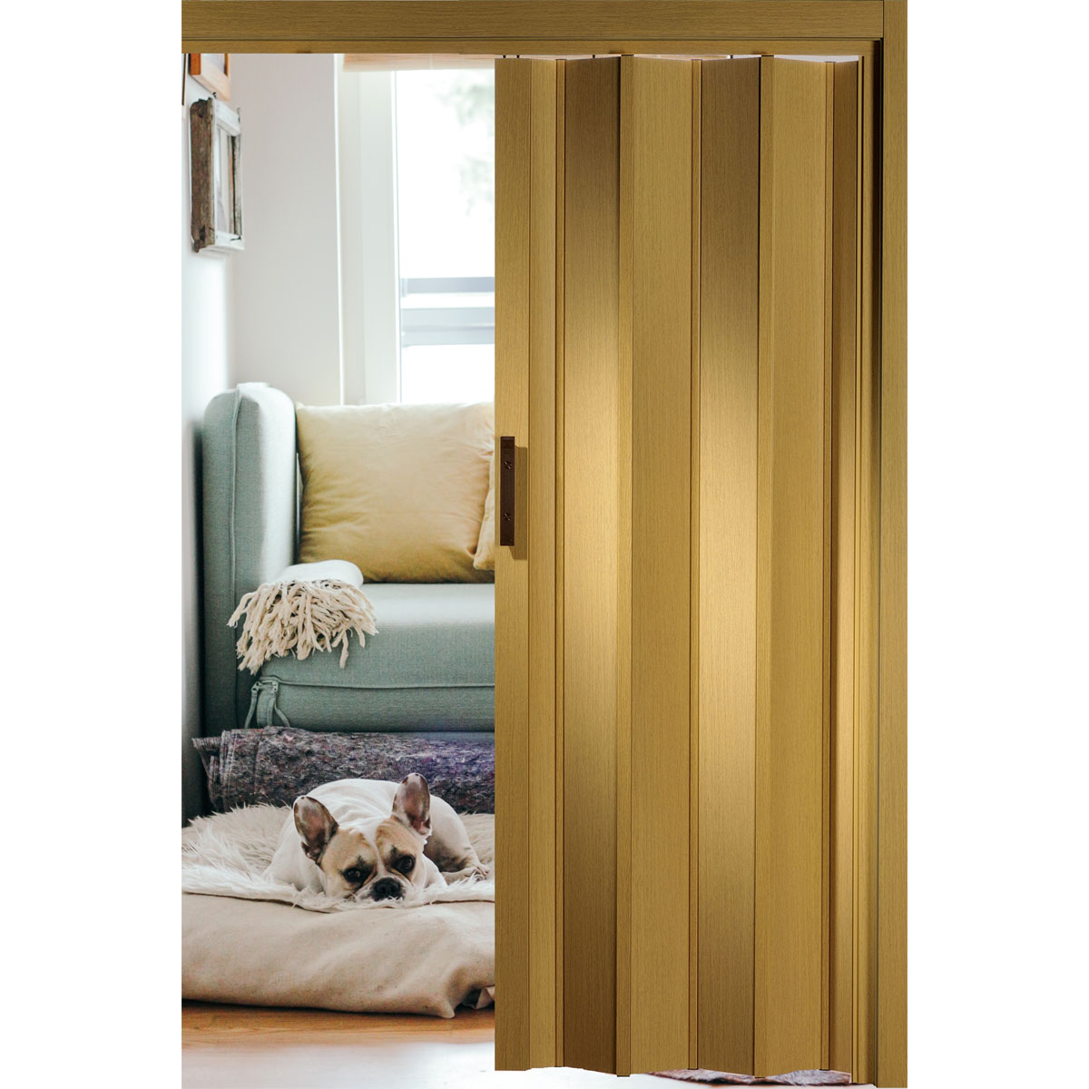 FORTE Kunststoff-Falttür Luciana B 88,5 x H 202 cm Eiche hell Bild 5