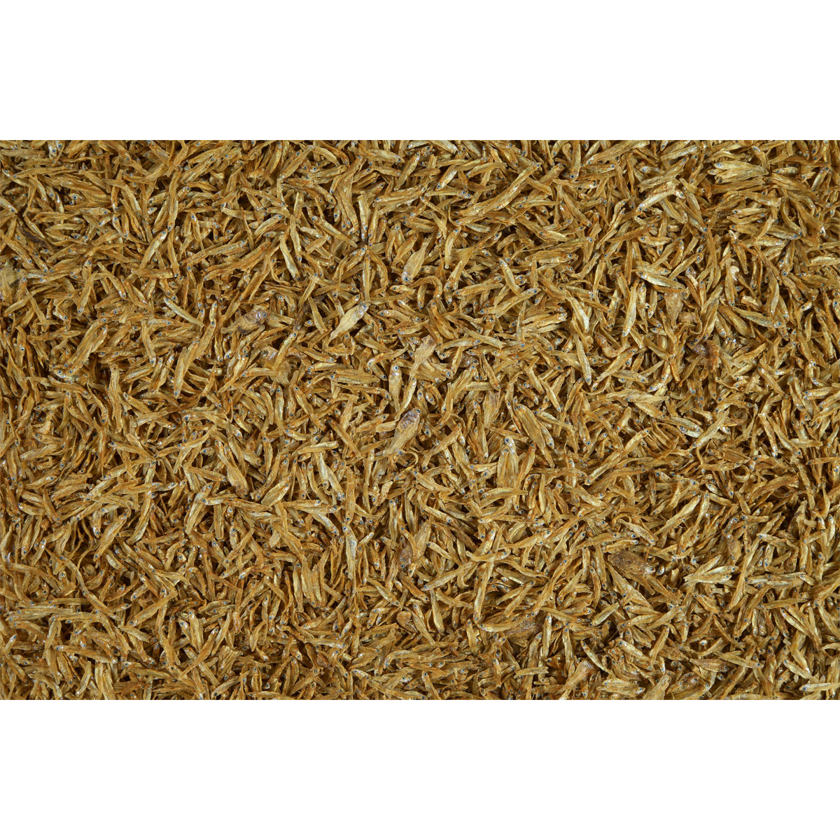 Tetra Schildkrötenfutter Anchovies 250 ml Bild 2