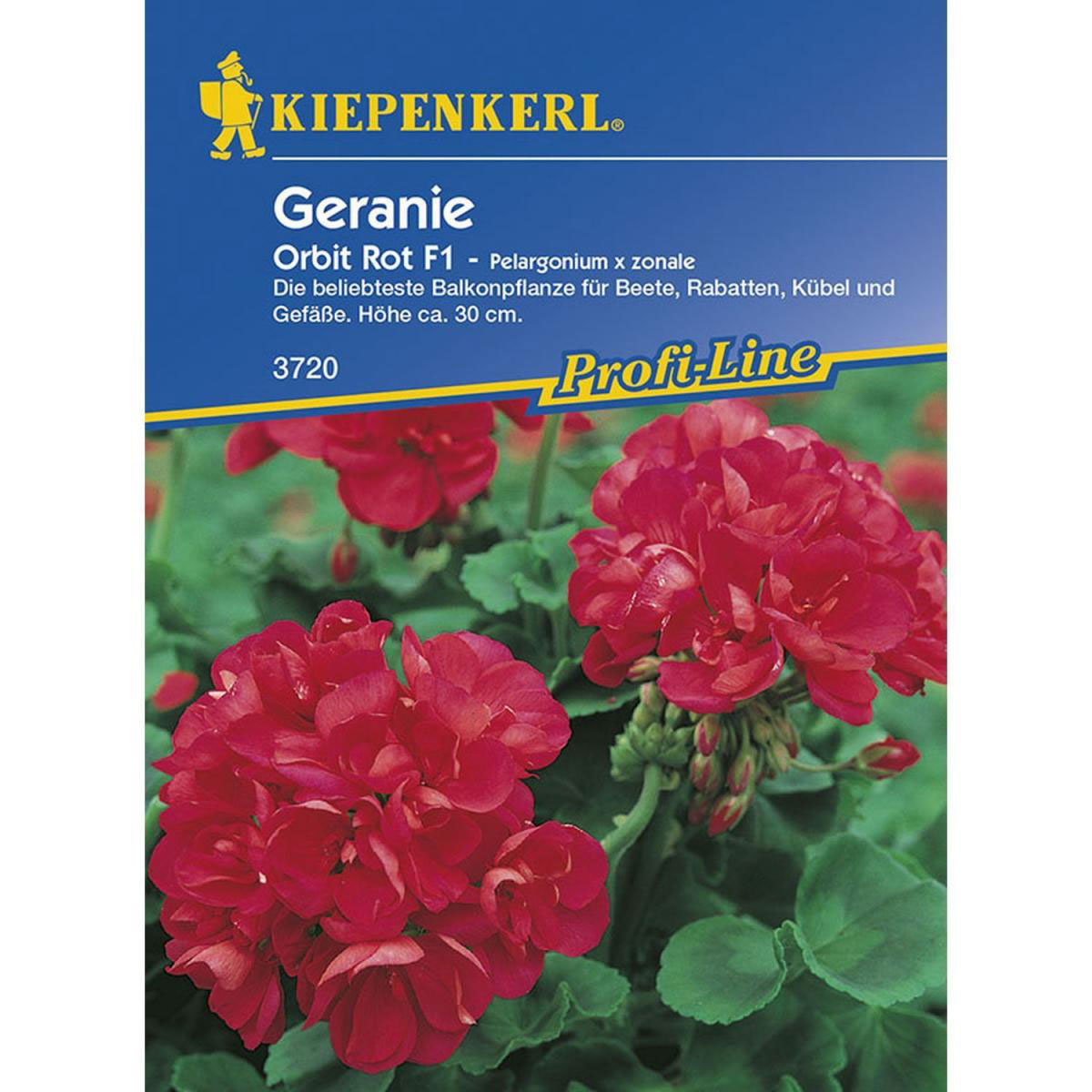 Kiepenkerl Geranien rot F1 Profi-Line