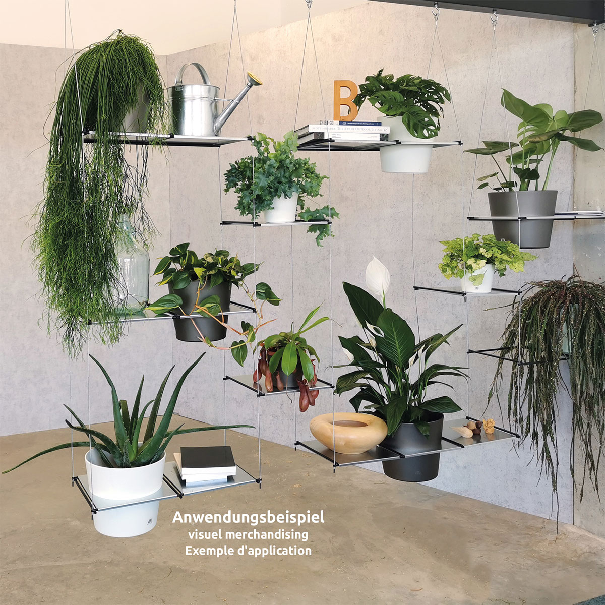 Hängegarten Filo Starter Set Bild 6