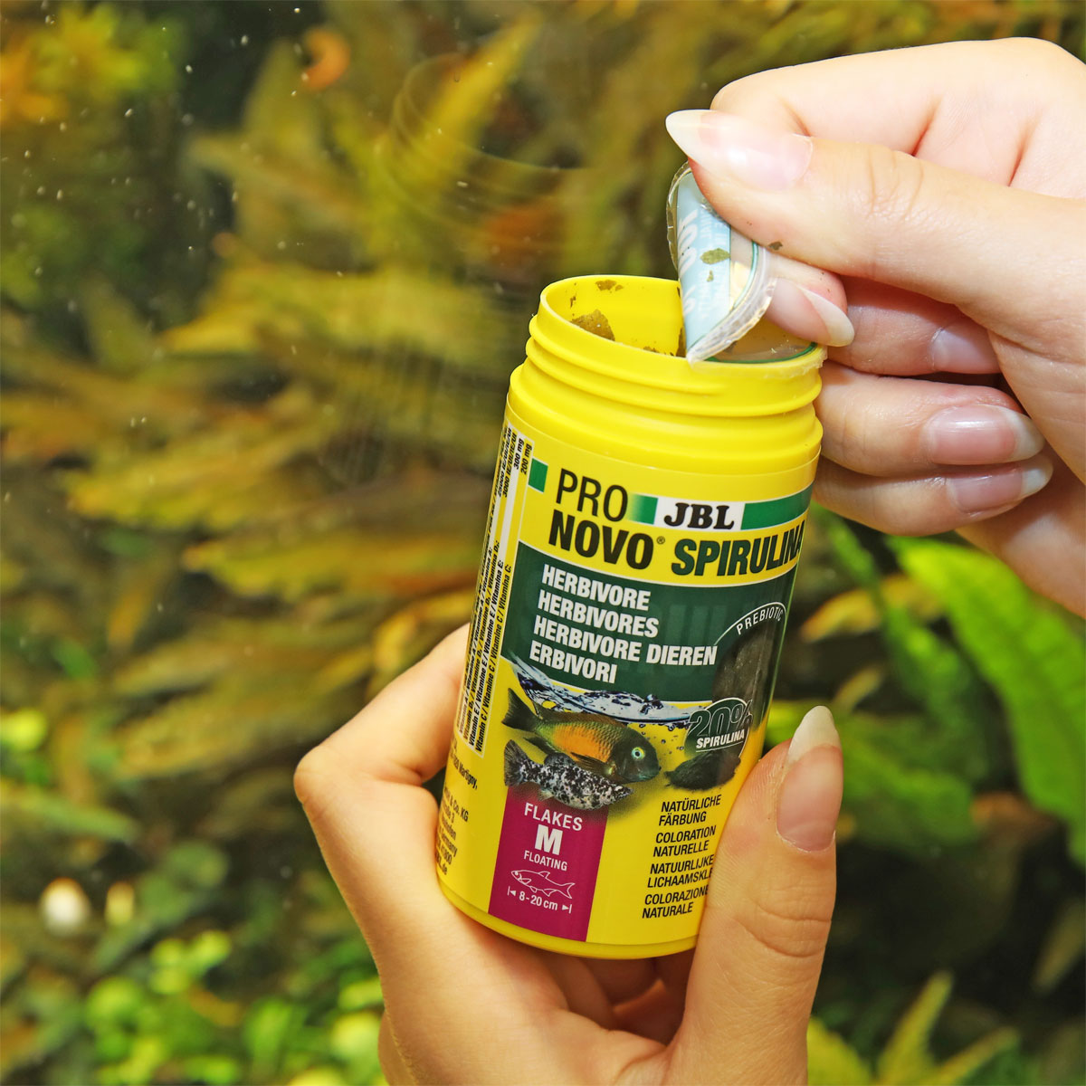 JBL  PRONOVO SPIRULINA FLAKES M 100ml Bild 2