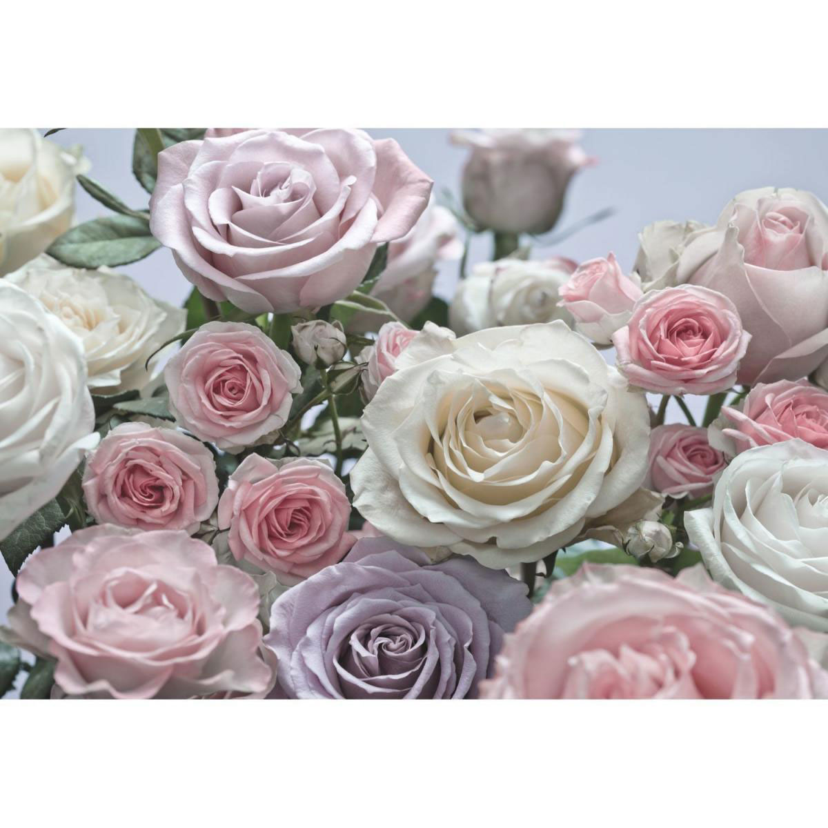 Komar Papier-Fototapete Floraison 8-teilig 368 x 254 cm