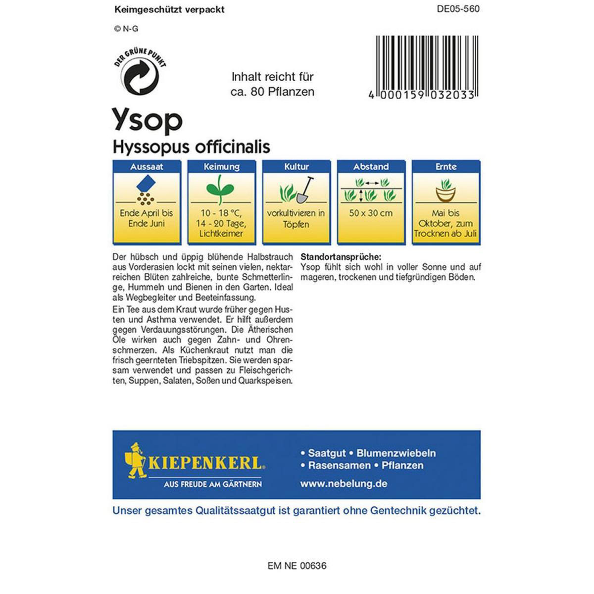 Kiepenkerl Ysop Profi-Line Bild 2