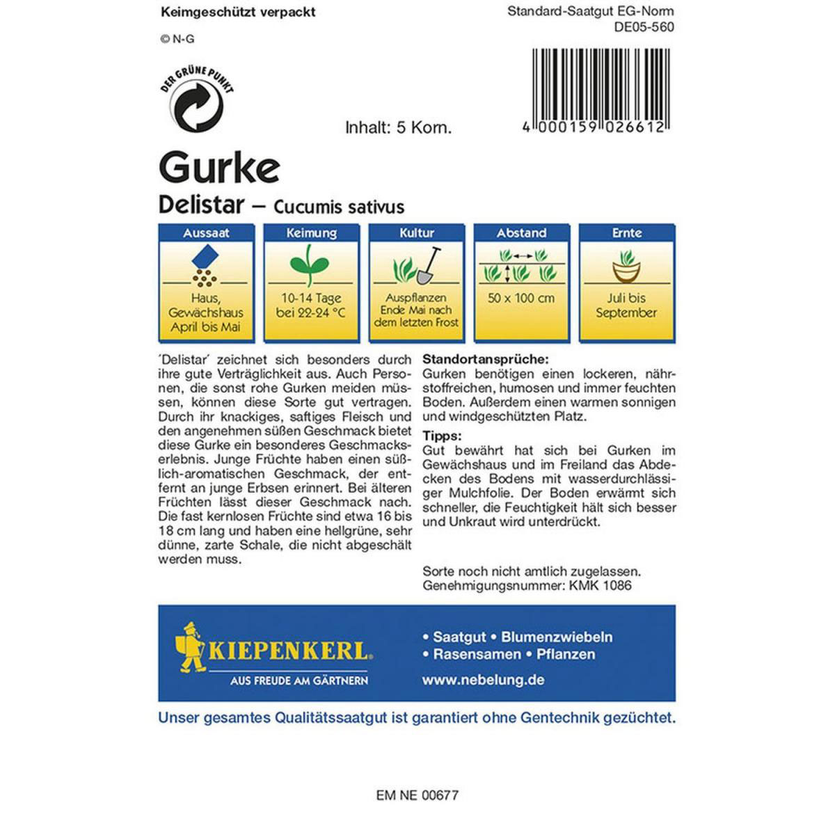 Kiepenkerl Salatgurken Delistar F1 Bild 2