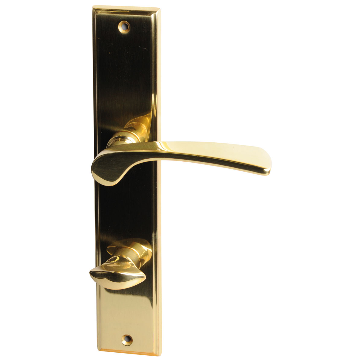 Alpertec Langschildgarnitur Nelson-LS für WC poliert 78 mm