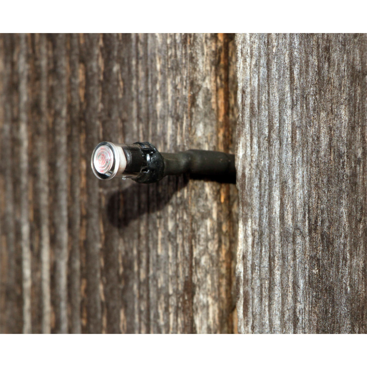 Steuergerät für Hühnertür schwarz Bild 7