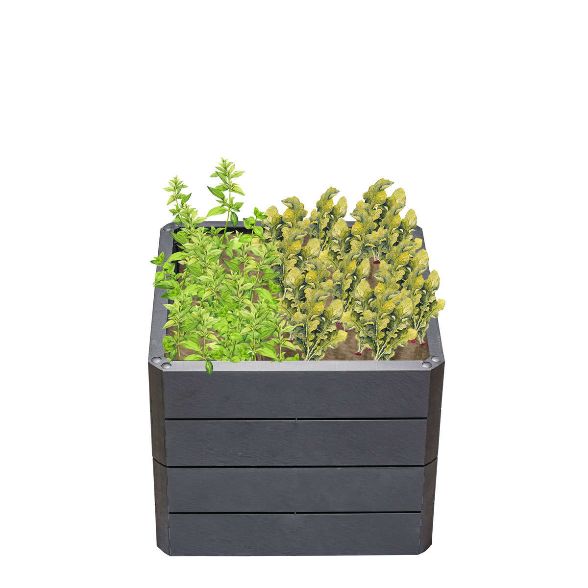 Garantia Hochbeet ERGO QUADRO S 50 Stone inkl FLORA