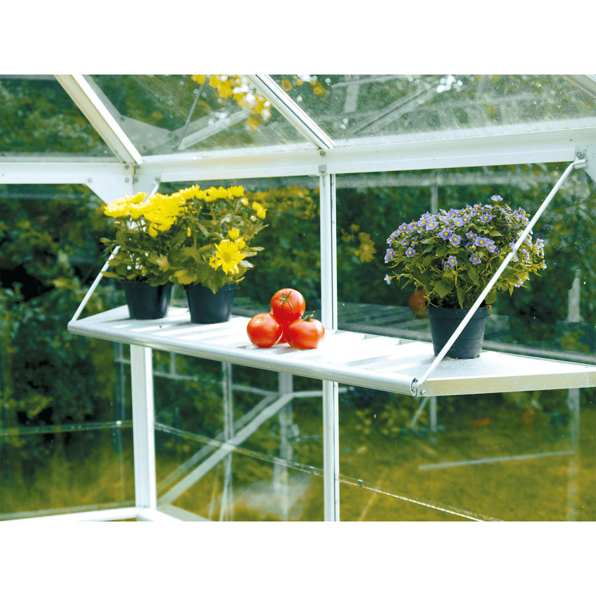 Vitavia Regal Hera klappbar