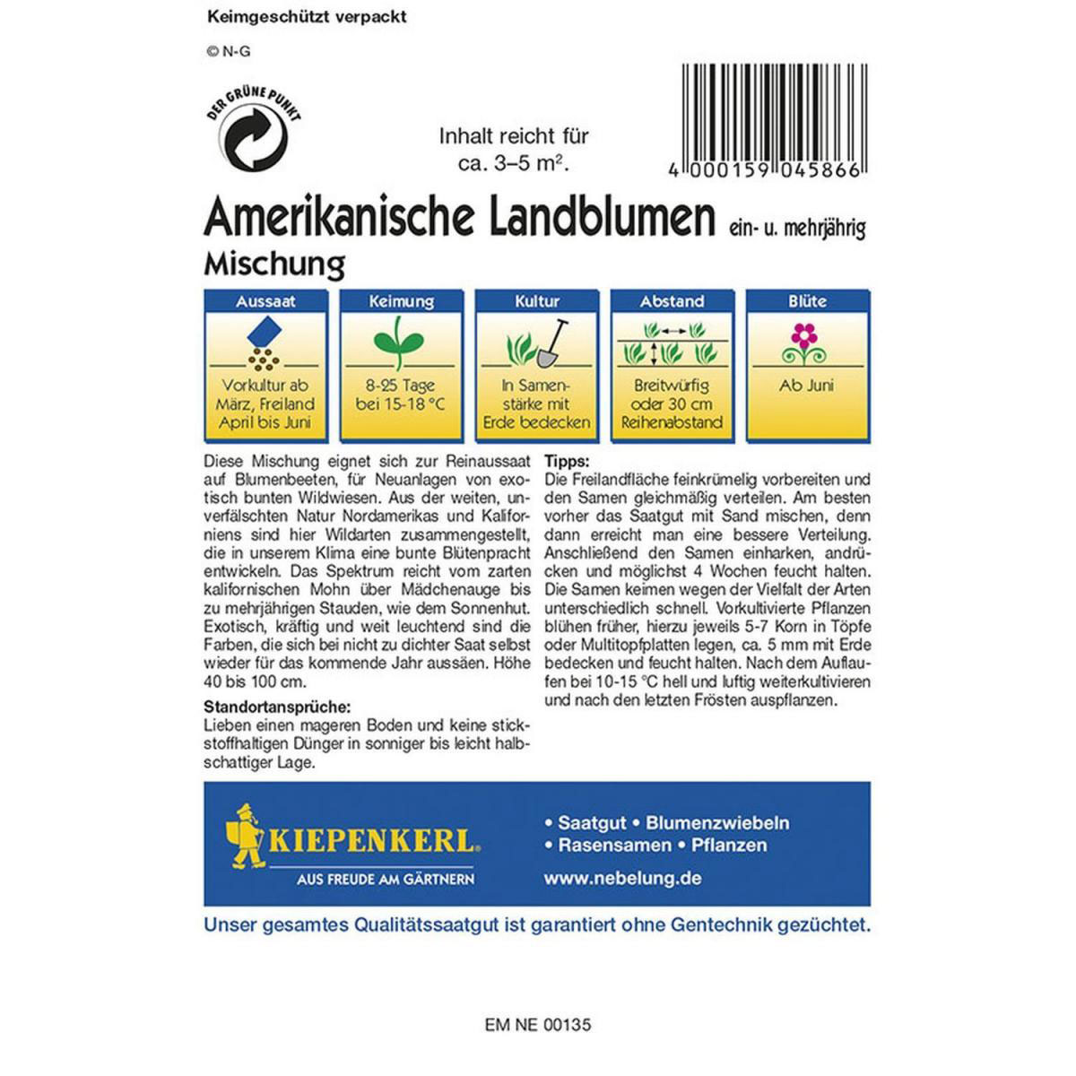 Kiepenkerl Wildblumen amerikanische Landblumenmischung Profi-Line Bild 2