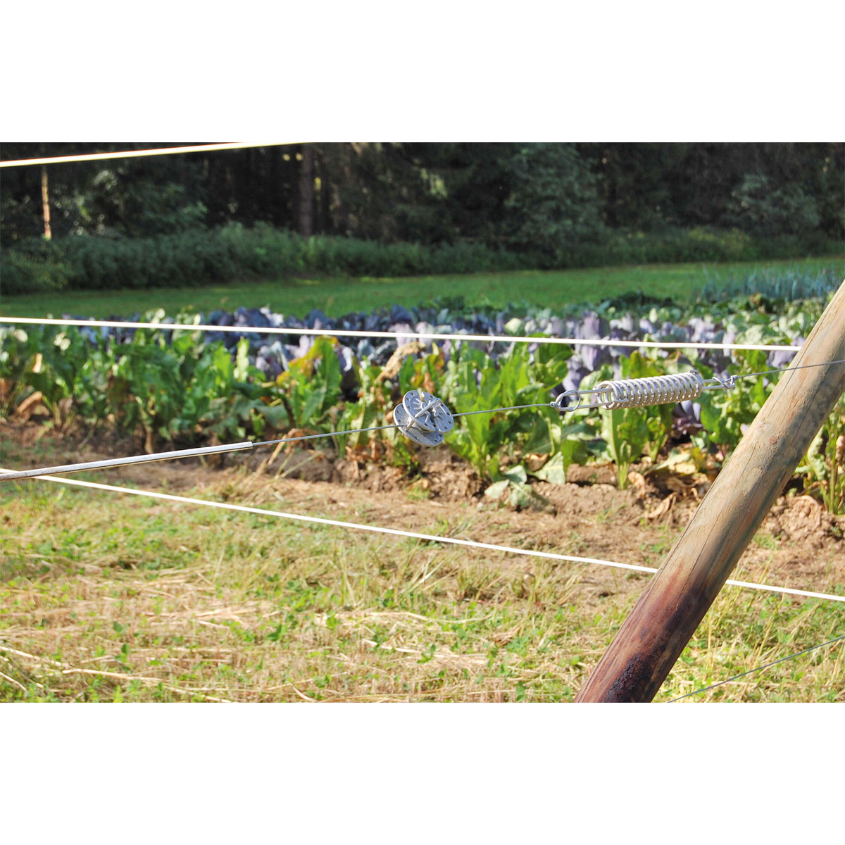 Stahldraht Premium Horse Wire 250 m Bild 8