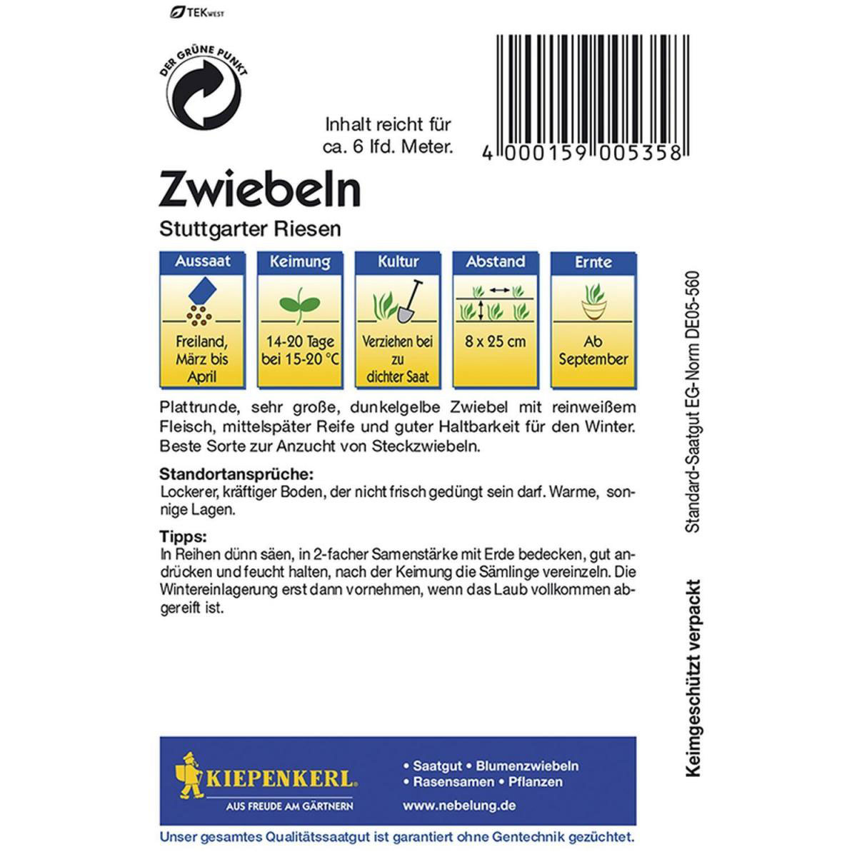 Kiepenkerl Zwiebeln Stuttgarter Riesen Bild 2