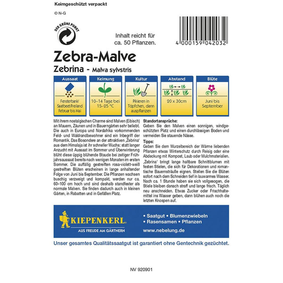 Kiepenkerl Malve Zebrina Profi-Line Bild 2