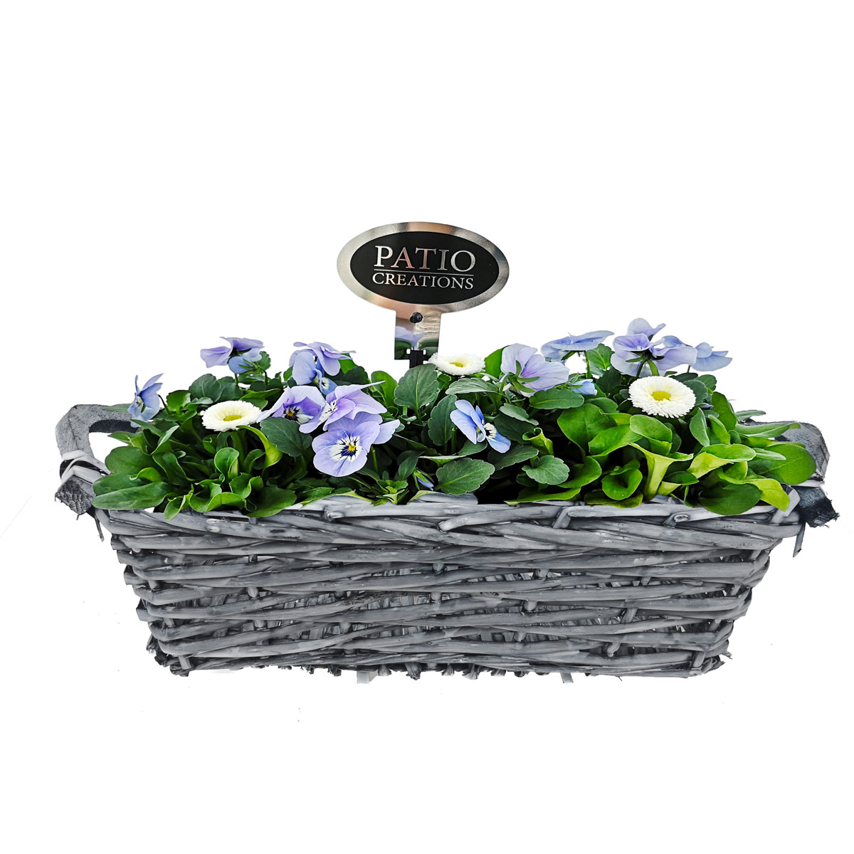 Plantiflor  Bepflanzte Gefäße rechteckig Bild 2