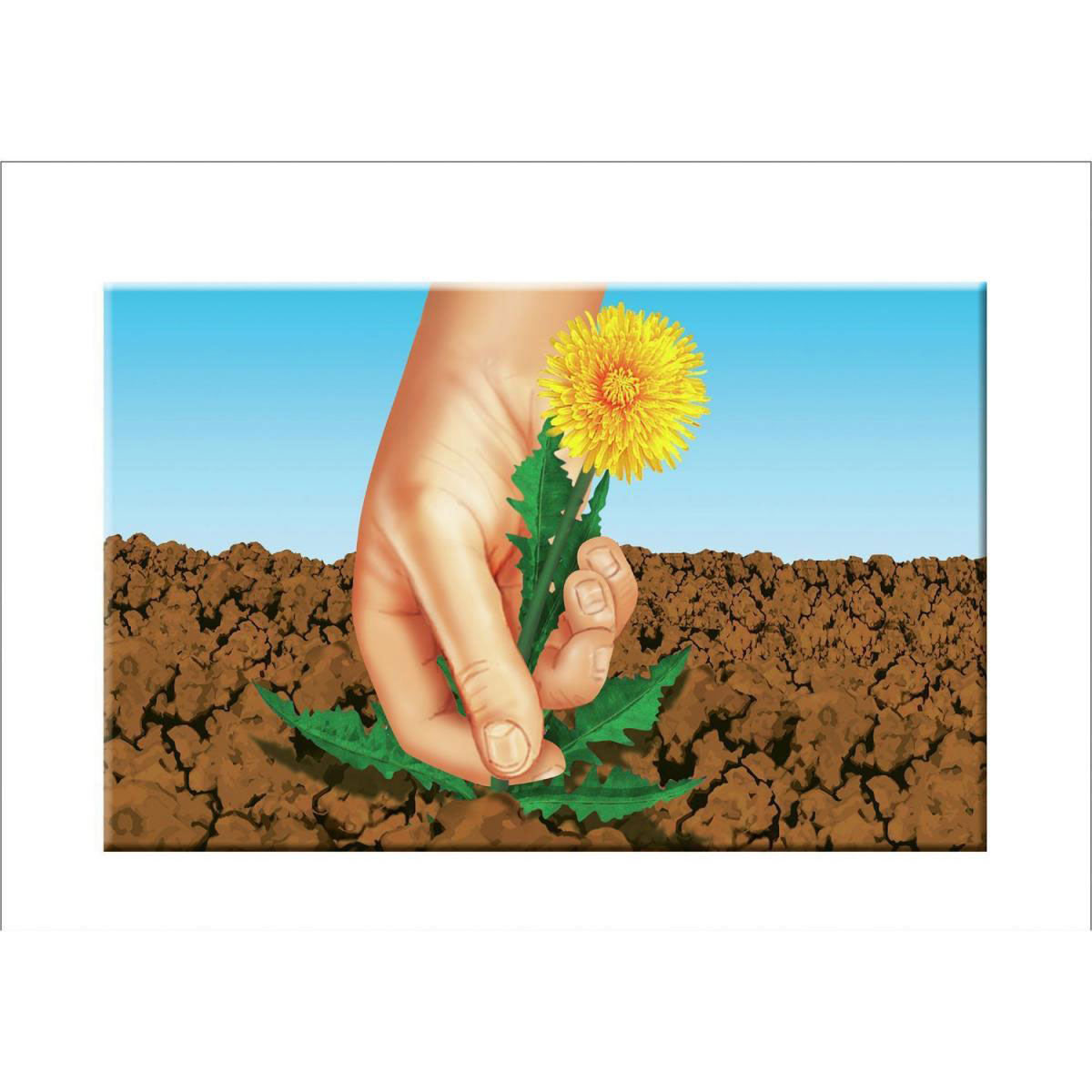 Compo Rasensaat Spiel und Sport 5 kg für 250 m² Bild 4