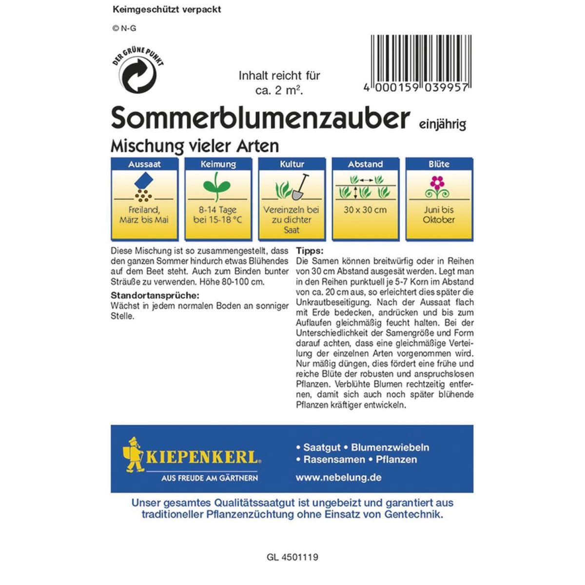 Kiepenkerl Sommerblumen-Zauber Mischung vieler Arten Profi-Line Bild 2