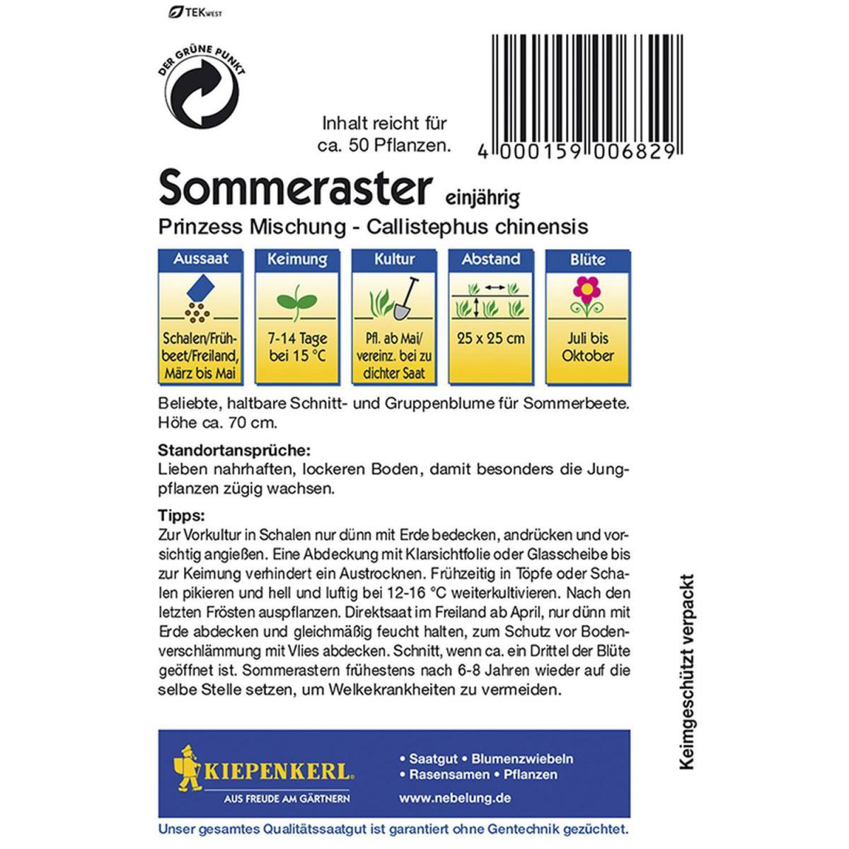 Kiepenkerl Prinzeß-Aster Callistephus Mischung Bild 2