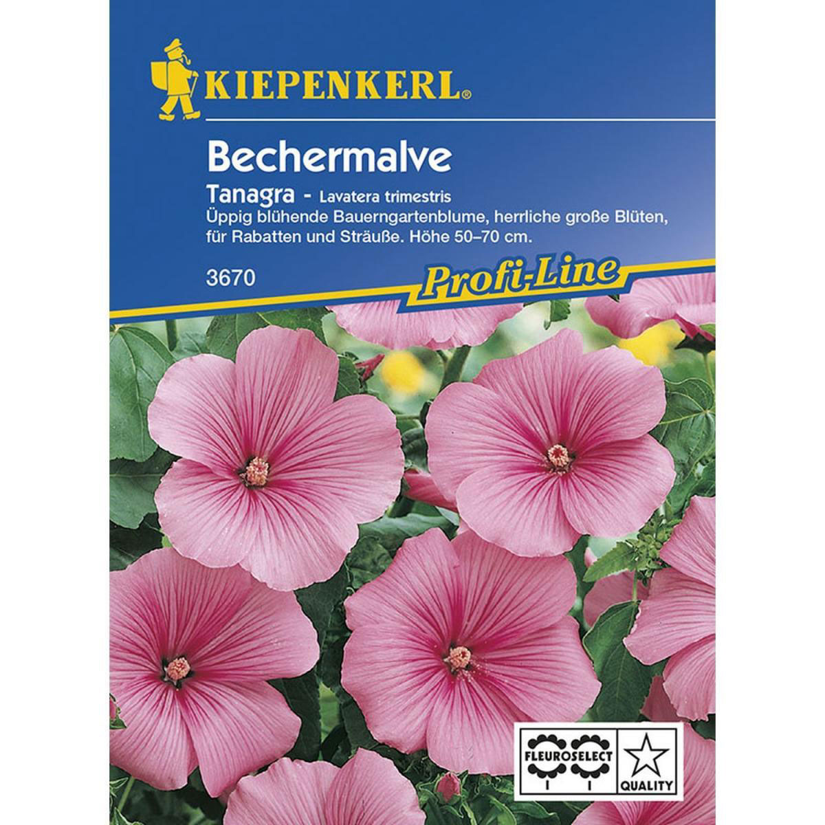 Kiepenkerl Bechermalve Tanagra pink Profi-Line