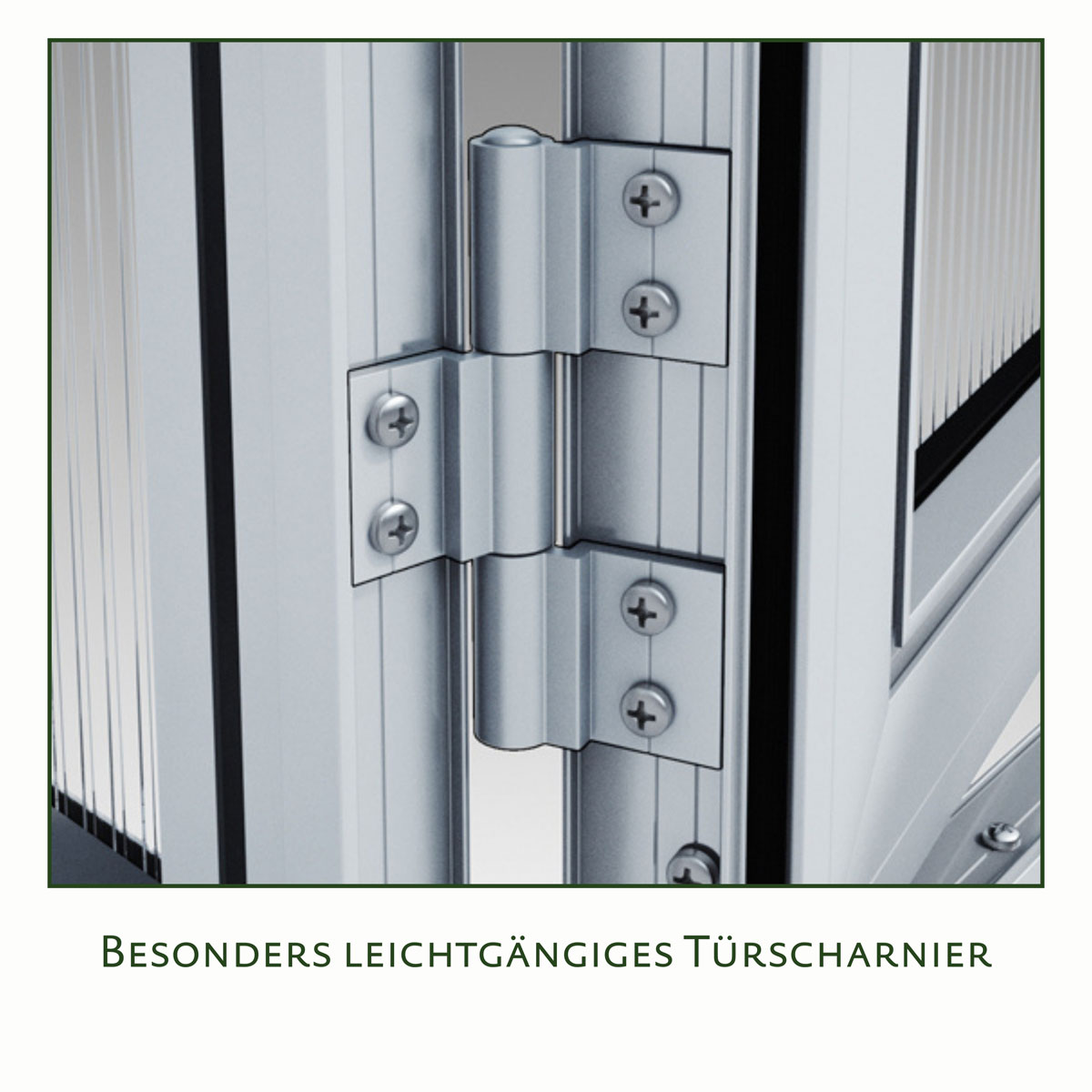 KGT Gewächshaus Rose IV 10m² silber Bild 7