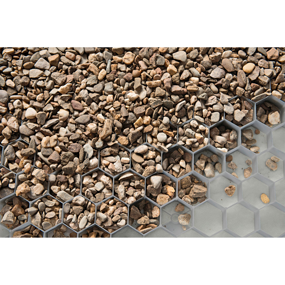 Kieswabe grau 80 x 60 cm Bild 2