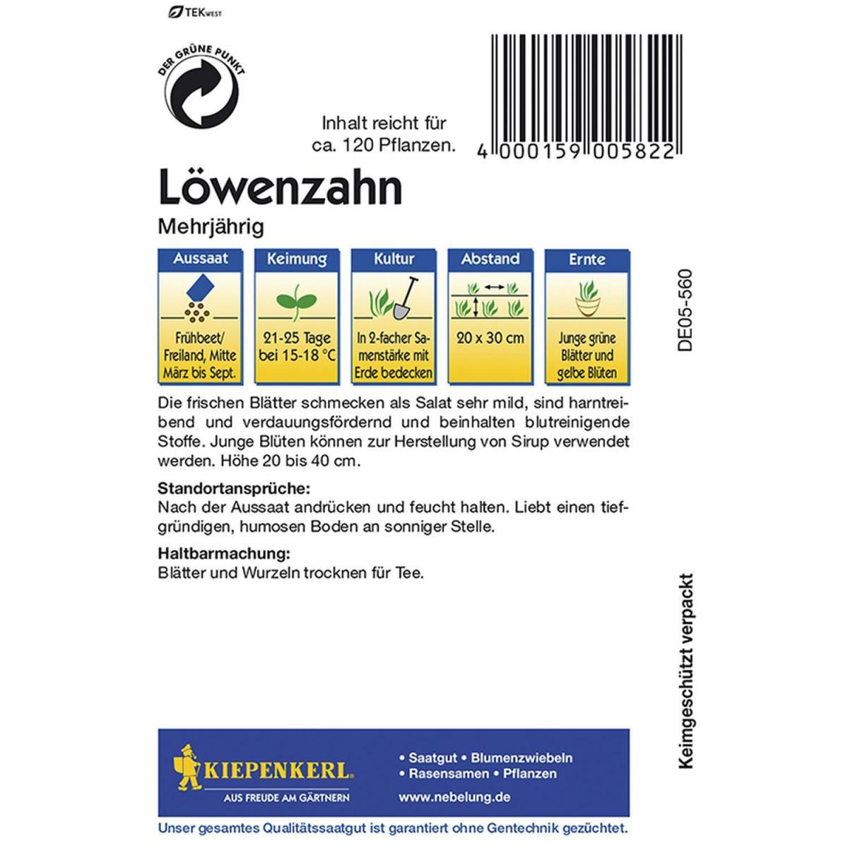 Kiepenkerl Löwenzahn mehrjährig Bild 2