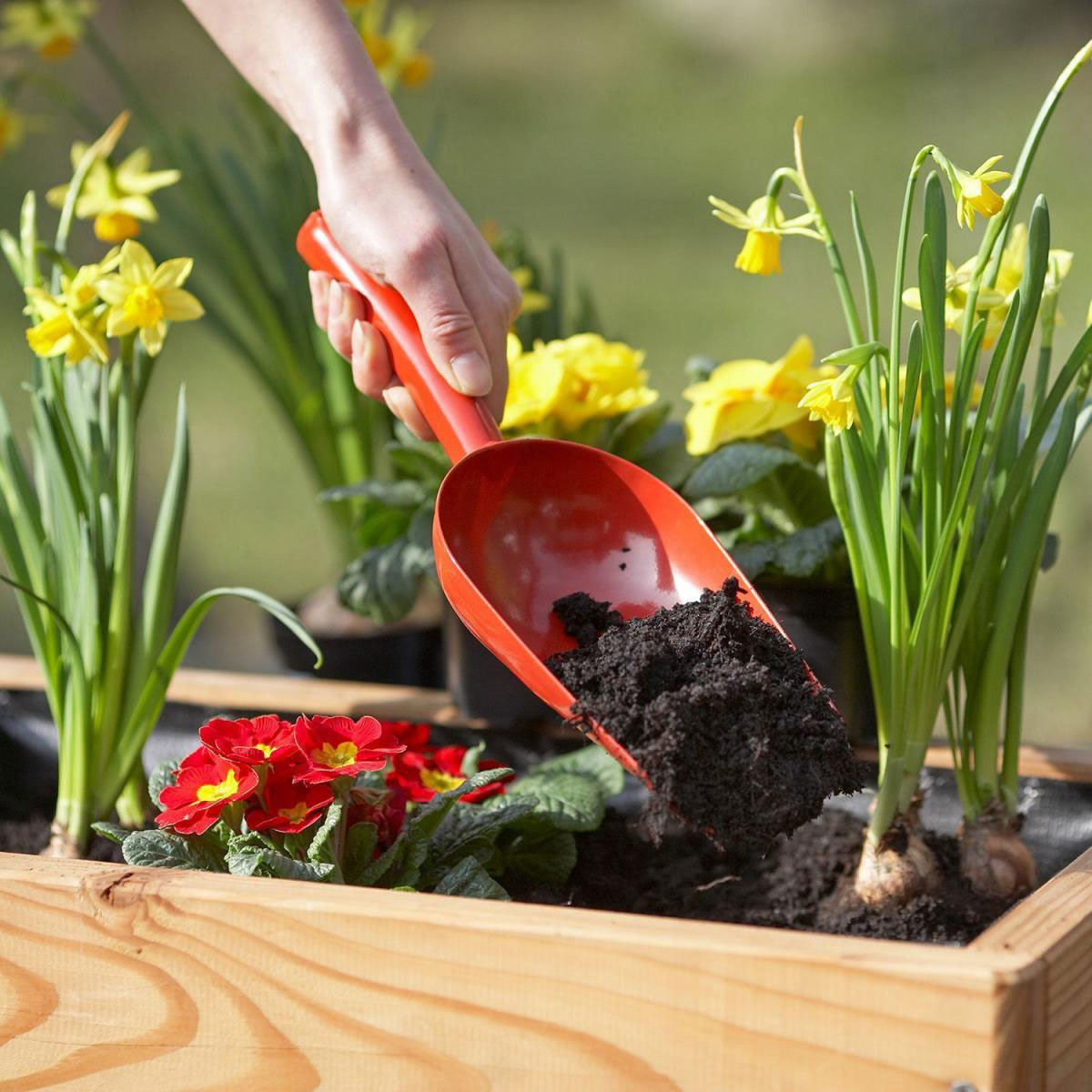 Meister Metallschaufel XXL Bild 2