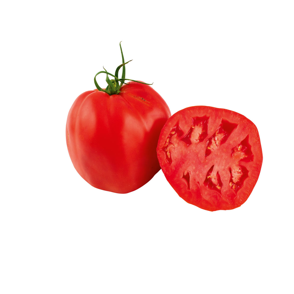 Plantiflor Veredelte Salattomate Topf Durchmesser 12 cm Bild 8