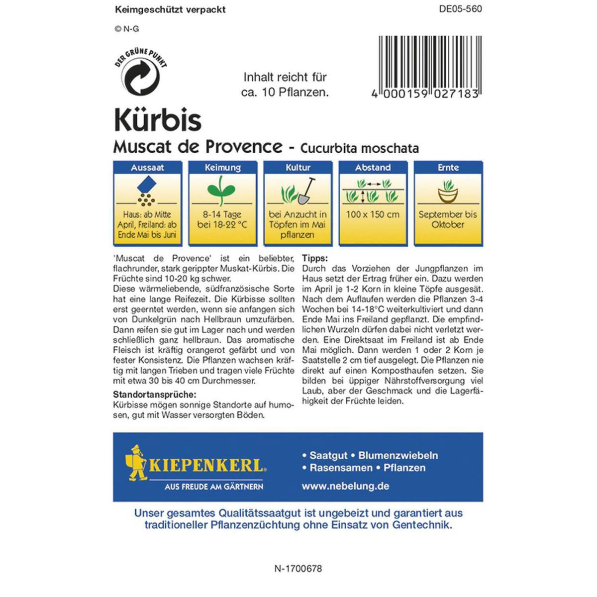 Kiepenkerl Kürbis Muscat de Provence Profi-Line Bild 2
