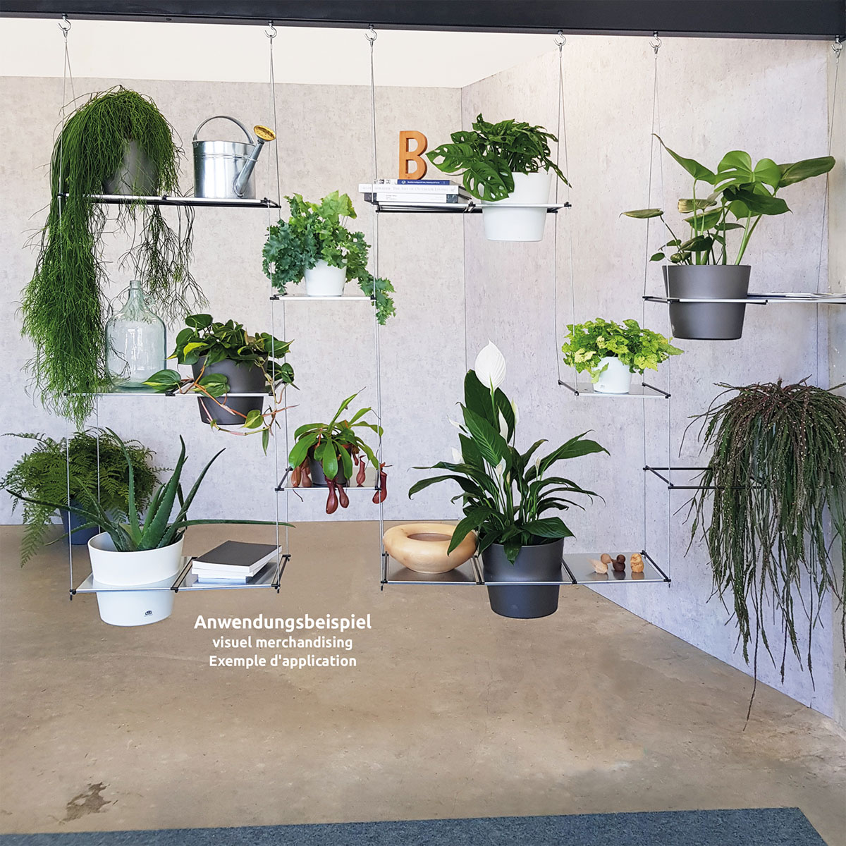 Hängegarten Filo Starter Set Bild 7