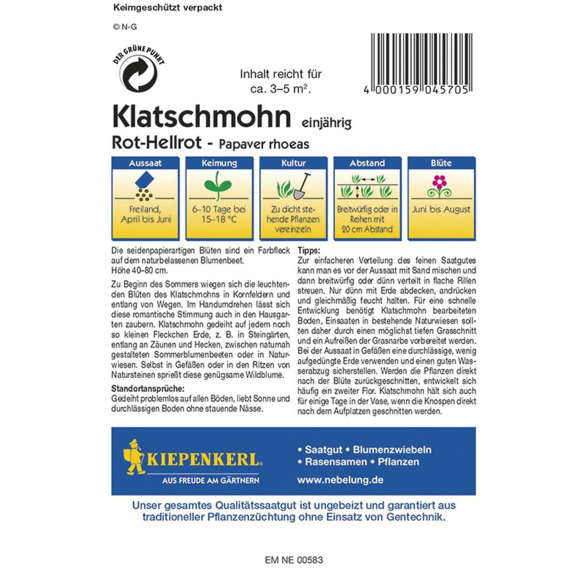 Kiepenkerl Klatschmohn Papaver rhoeas Profi-Line Bild 2