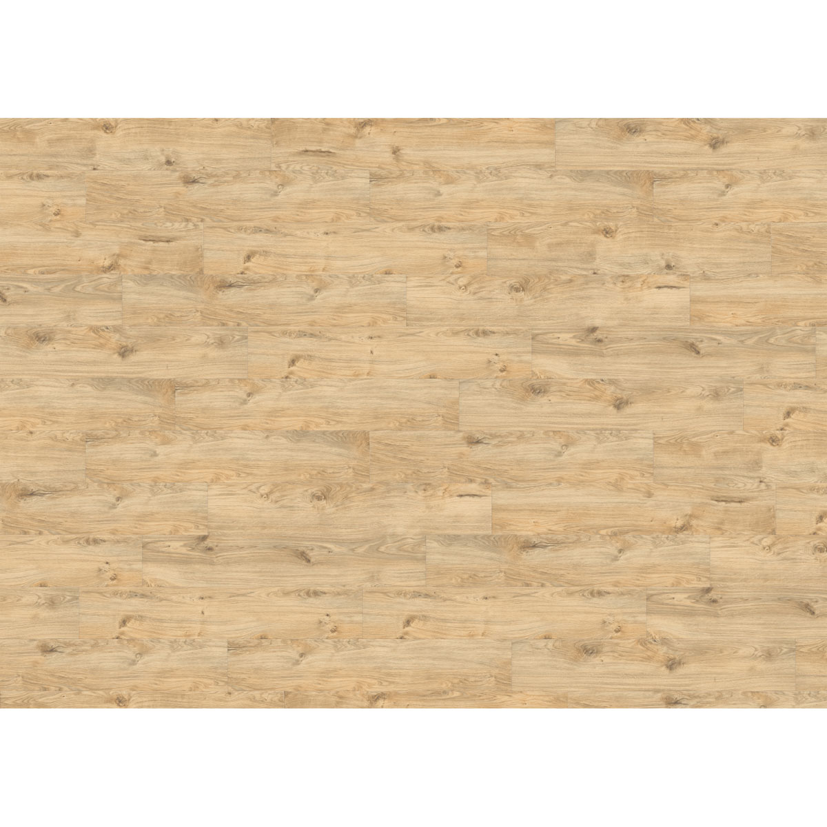 Designboden Hydrostar Eiche Alba 128,2 x 23,5 cm Bild 3