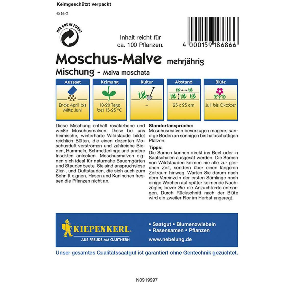 Kiepenkerl Moschus-Malven-Mix Bild 2