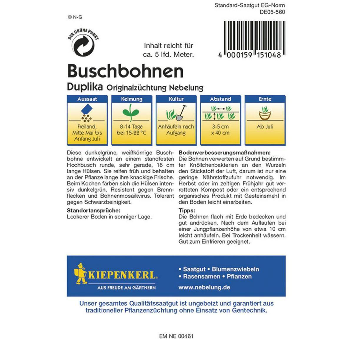 Kiepenkerl Buschbohnen Duplika Bild 2