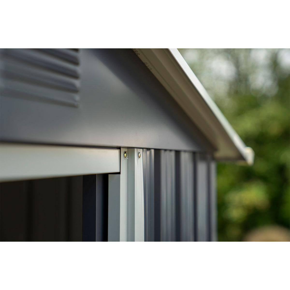 Pergart Gerätehaus Dresden II 3,6m² weiß Bild 7