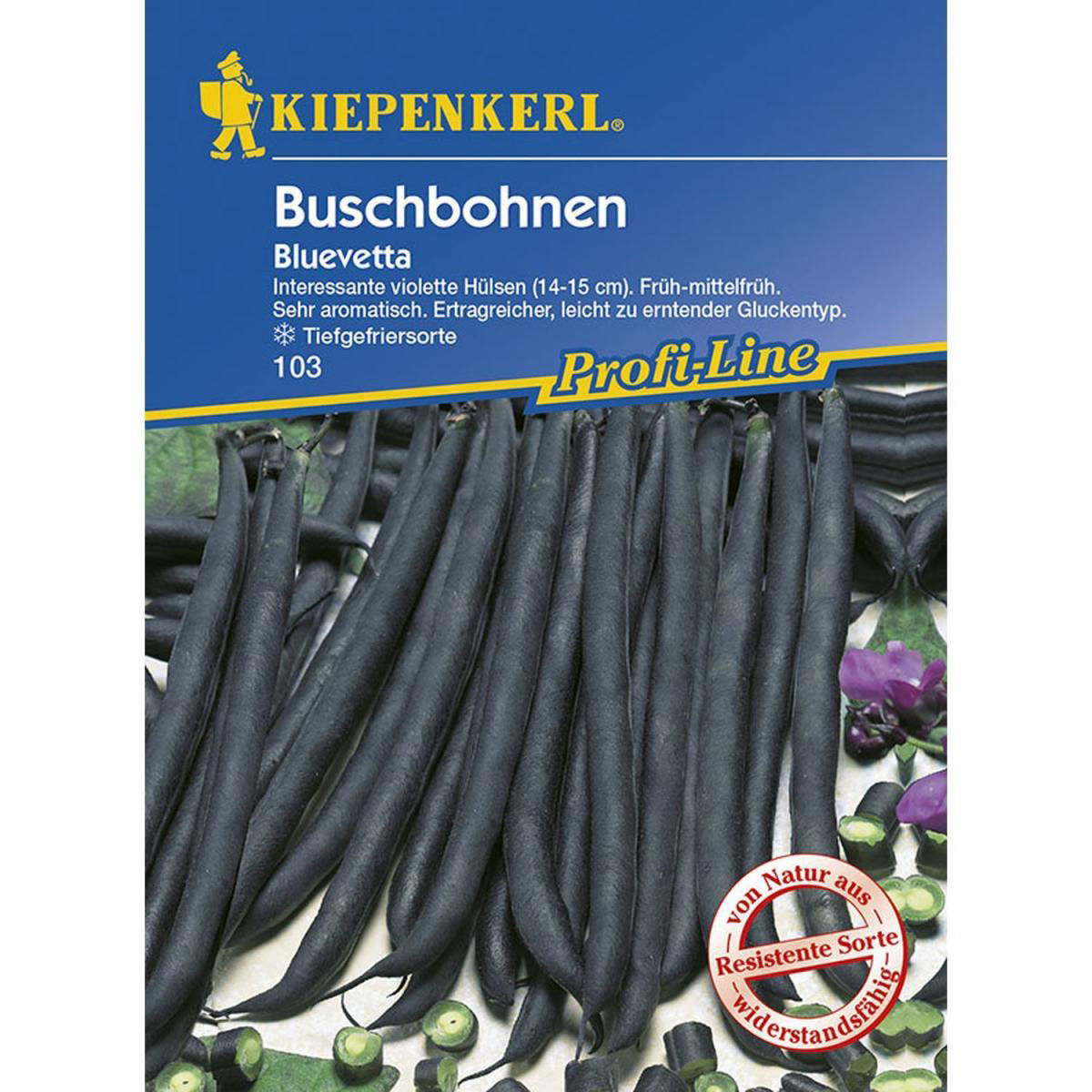 Kiepenkerl Buschbohnen Bluevetta